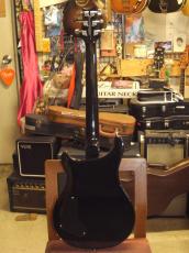 Paul Reed Smith [PRS] SE CUSTOM22 セミホロウ_3