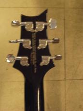 Paul Reed Smith [PRS] SE CUSTOM22 セミホロウ_5