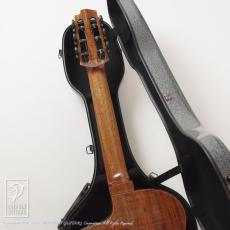 HAYASHI GUITARS Hatsune Crossover Cutaway (Nylon Strings)_10