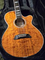 Takamine TSP178ACK N [100 series Thinline] -2022USED!!-【48回迄金利0%対象】