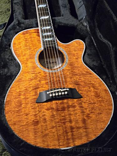 Takamine TSP178ACK N [100 series Thinline] -2022USED!!-【48回迄金利0%対象】