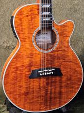 Takamine TSP178ACK N [100 series Thinline] -2022USED!!-【48回迄金利0%対象】_2