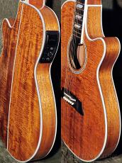 Takamine TSP178ACK N [100 series Thinline] -2022USED!!-【48回迄金利0%対象】_4