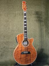 Takamine TSP178ACK N [100 series Thinline] -2022USED!!-【48回迄金利0%対象】_5