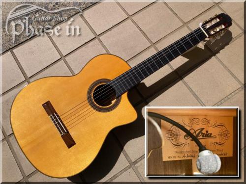 ARIA A-60CWE