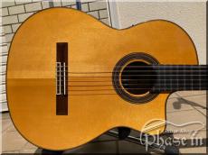 ARIA A-60CWE_2
