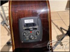 ARIA A-60CWE_8