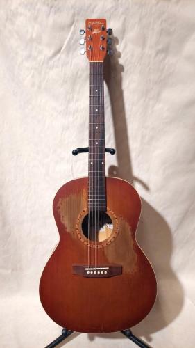 Art & Lutherie FOLK CEDAR