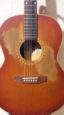 Art & Lutherie FOLK CEDAR_2