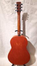 Art & Lutherie FOLK CEDAR_3