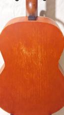Art & Lutherie FOLK CEDAR_4