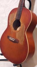 Art & Lutherie FOLK CEDAR_5