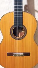 YAMAHA GC-5_2