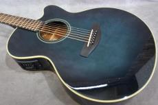YAMAHA CPX-5 TBB_5
