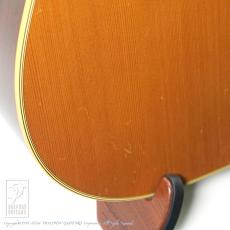 Martin D-28 Custom Torch Inlay_12