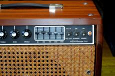 Mesa/Boogie 1978 Mark-I EQ Gongorawood_3