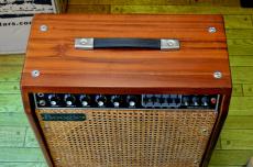 Mesa/Boogie 1978 Mark-I EQ Gongorawood_4
