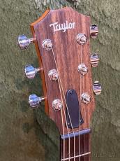 Taylor 【Taylor認定中古品】GTe Urban Ash C-Class -2021USED-【48回迄金利0%対象】【送料当社負担】_4