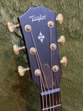 Taylor 【Top Japan Retailer Fair】50th Anniversary Builders Edition 314ce LTD Natural #1203184108_4