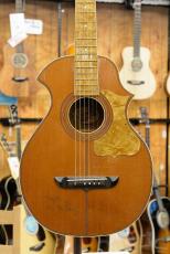 B&J (Regal) Venetian Cutaway Style Acoustic Guitar