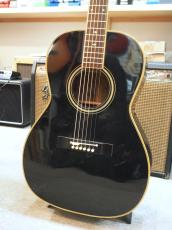 Takamine PTN-006 BLACK仕様