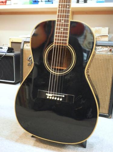 Takamine PTN-006 BLACK仕様