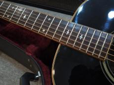 Takamine PTN-006 BLACK仕様_4