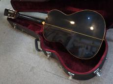 Takamine PTN-006 BLACK仕様_9