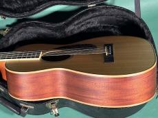 Larrivee P-03_4