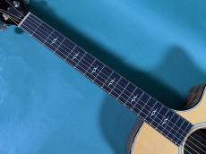 Taylor K14ce_5