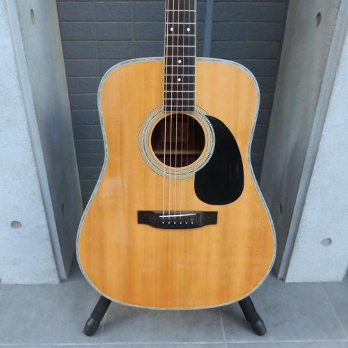 K.Yairi YW500P