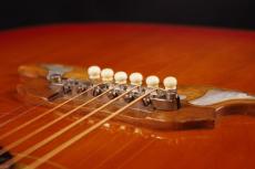 Gibson DOVE_6