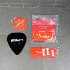 Fender 70th Anniversary Player Stratocaster_8