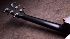 Taylor 【5/10迄、限定大特価+Fisman AMPプレゼント!】CTM GA Sinkaer Redwood × Flame Maple_13