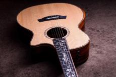 Taylor 【5/10迄、限定大特価+Fisman AMPプレゼント!】CTM GA Cocobolo × Bear Claw Spruce Top_3