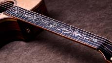 Taylor 【5/10迄、限定大特価+Fisman AMPプレゼント!】CTM GA Cocobolo × Bear Claw Spruce Top_7
