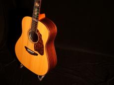 T’sT Premium Terry PTJ-100 MS GRAPE 50th【”グレープ”デビュー50周年記念 さだまさし氏モデル 1オーナー極上品 フィッシュマンPU搭載 テリー中本氏が手掛けた芸術品レベルの逸品です。】解説試奏動画御覧ください。_5