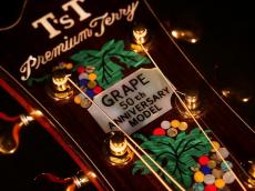 T’sT Premium Terry PTJ-100 MS GRAPE 50th【”グレープ”デビュー50周年記念 さだまさし氏モデル 1オーナー極上品 フィッシュマンPU搭載 テリー中本氏が手掛けた芸術品レベルの逸品です。】解説試奏動画御覧ください。_10