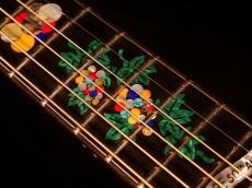 T’sT Premium Terry PTJ-100 MS GRAPE 50th【”グレープ”デビュー50周年記念 さだまさし氏モデル 1オーナー極上品 フィッシュマンPU搭載 テリー中本氏が手掛けた芸術品レベルの逸品です。】解説試奏動画御覧ください。_14