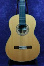 KODAIRA [小平] AST-65L(630mm)　杉/ローズウッド　2011年_2