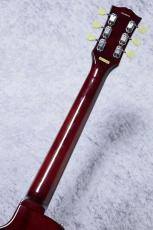 Tokai ALS98 GT【 Gold Top 】s/n CN24090402【4.24kg】_7