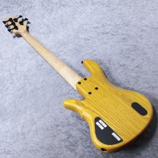 I-Clef Guitars M5 "Figured Maple/Swamp Ash&Rosewood,5st Model" -Natural Satin-【4.05kg】【新進気鋭ブランド】_10