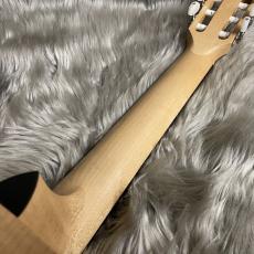 Taylor Limited Academy12e-nylon【現物画像】_8