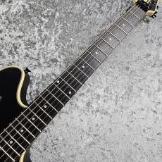 EVH Wolfgang USA -Stealth-_3