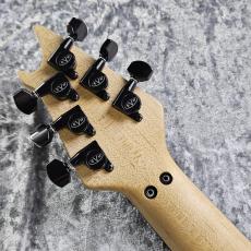 EVH Wolfgang USA -Stealth-_7