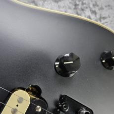 EVH Wolfgang USA -Stealth-_10