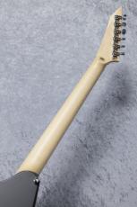 ESP ALEXI RIPPED【Alexi Laiho Signature Model】近日入荷予定! ご予約受付中!_9