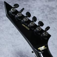 ESP HORIZON-I HH 「NEW MODEL!!」_9