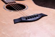 Taylor 【5/10迄、限定大特価+Fisman AMPプレゼント!】CTM GA Cocobolo × Bear Claw Spruce Top_2