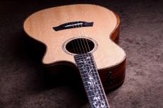 Taylor 【5/10迄、限定大特価+Fisman AMPプレゼント!】CTM GA Cocobolo × Bear Claw Spruce Top_3